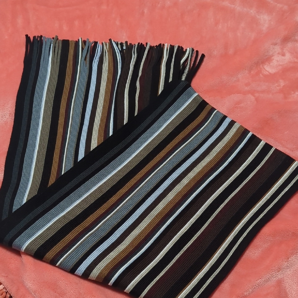 Roundtree & Yorke Multicolor Striped Scarf